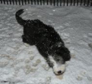 29.11.2010 Snow at last